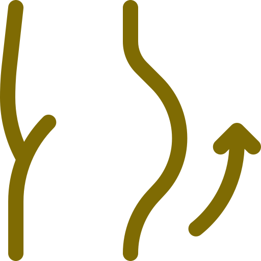 gluteo (3)